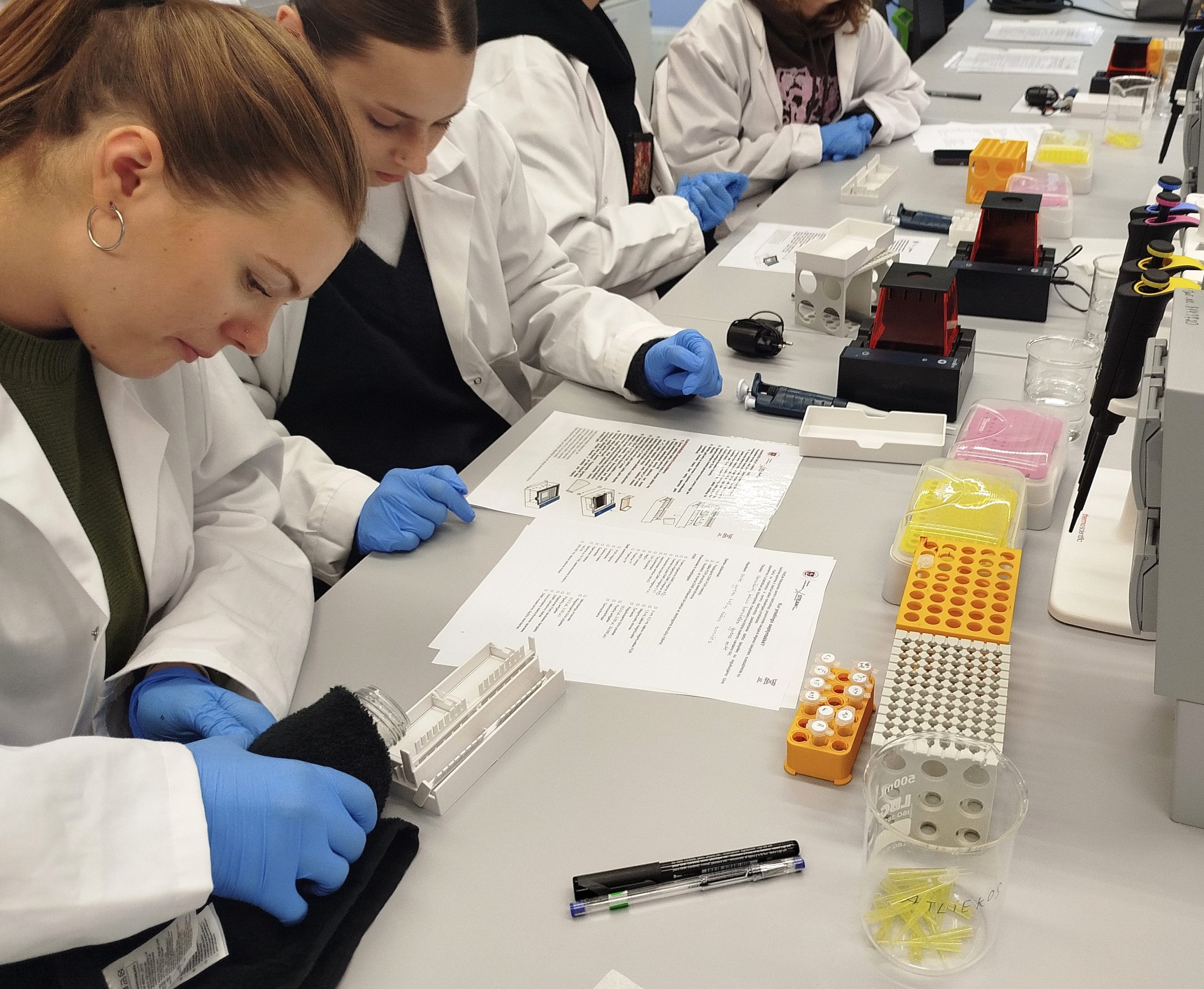 Įrašo paveikslėlis