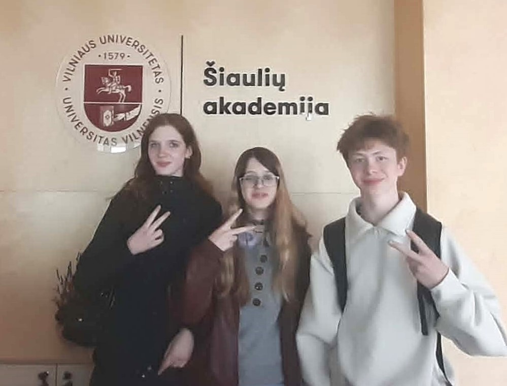 Įrašo paveikslėlis